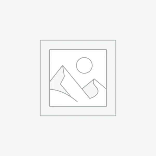 WESTERN TEA MASALA ELAICHI 100g POUCH